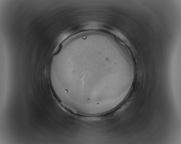 X0000086001337200704131757