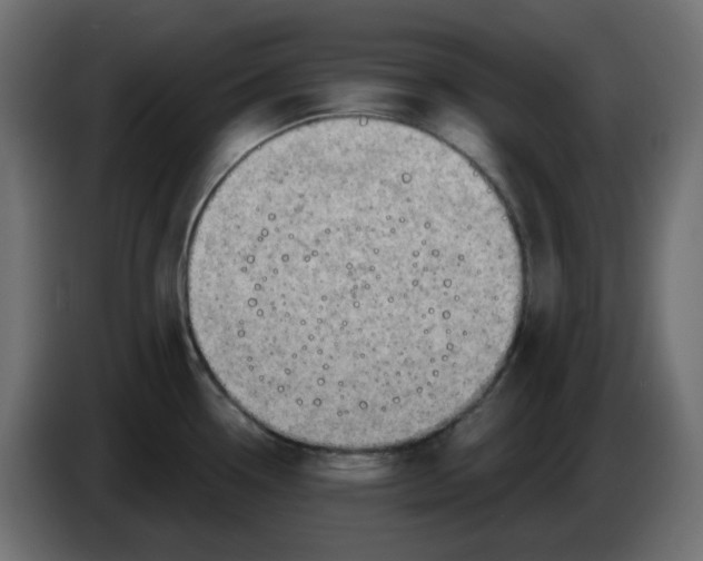 X0000086001338200704131757