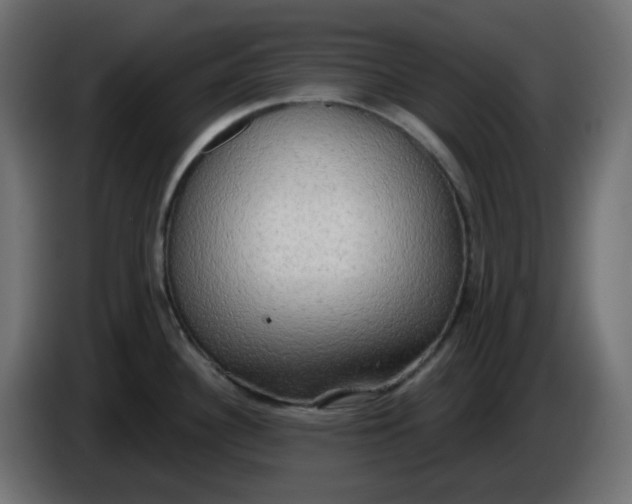 X0000086001340200704131757