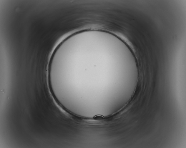 X0000086001343200704131757