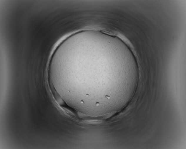 X0000086001344200704131757