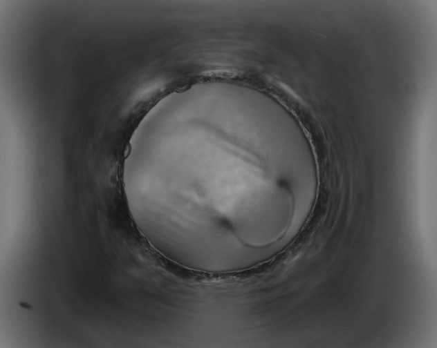 X0000086001351200704131756