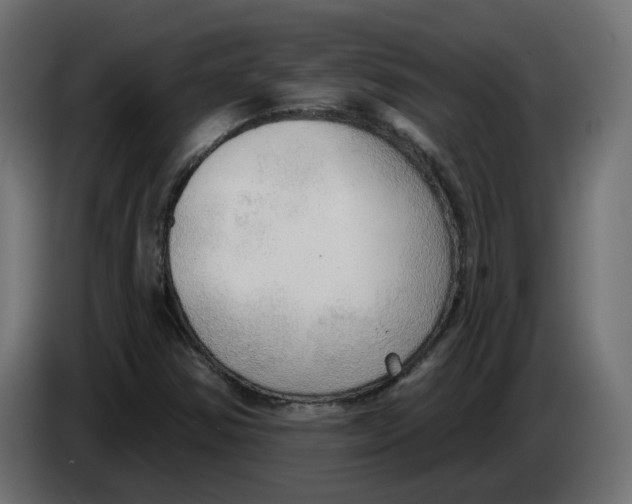 X0000086001354200704131756