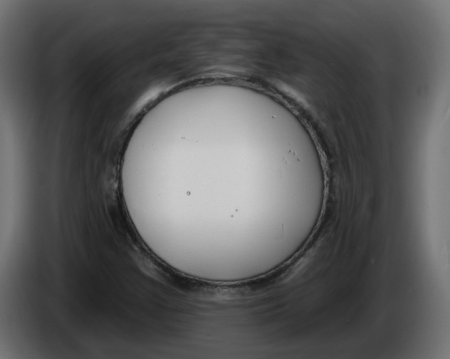 X0000086001355200704131756