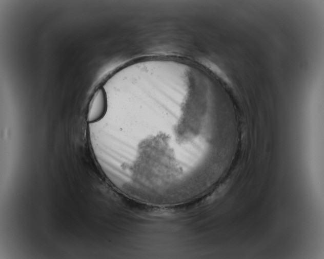 X0000086001358200704131756