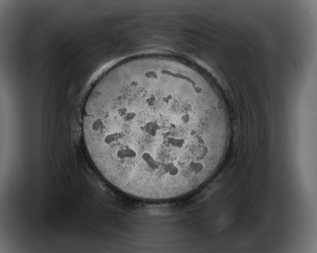 X0000086001363200704131756