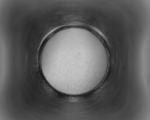 X0000086001364200704131756