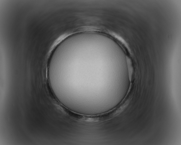 X0000086001365200704131756