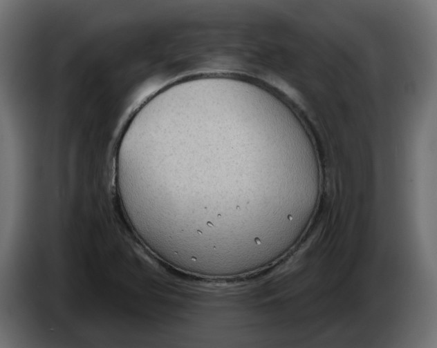 X0000086001366200704131756