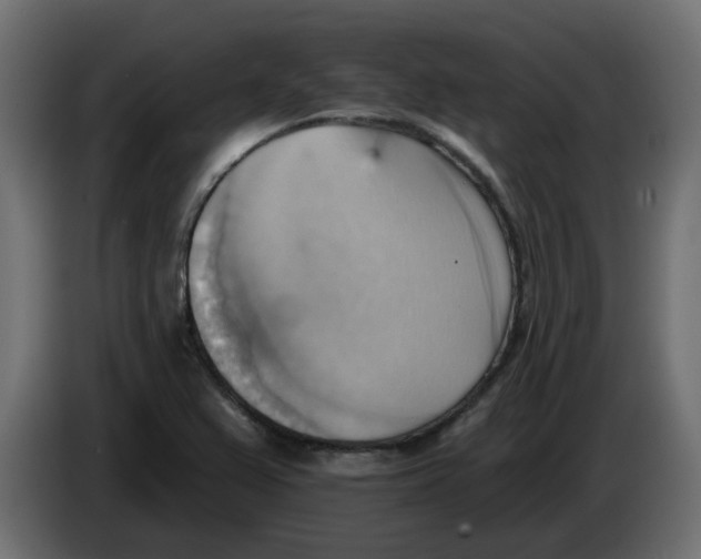 X0000086001367200704131756