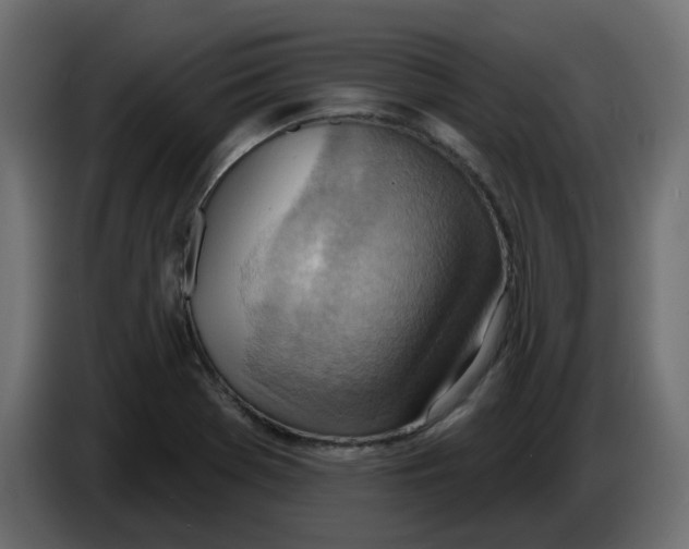 X0000086001369200704131756