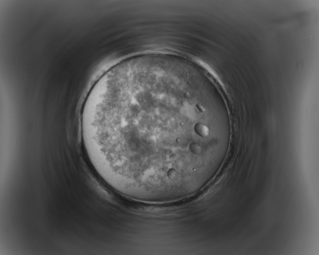 X0000086001371200704131756