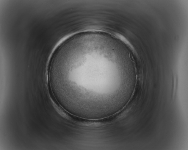 X0000086001372200704131756