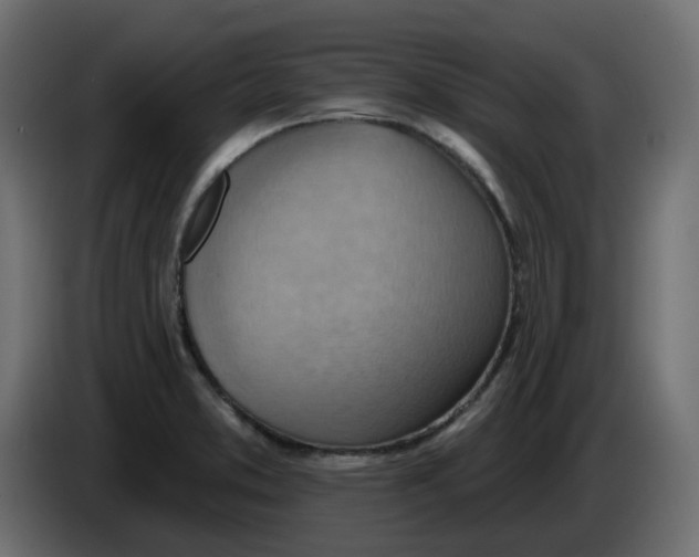 X0000086001373200704131756