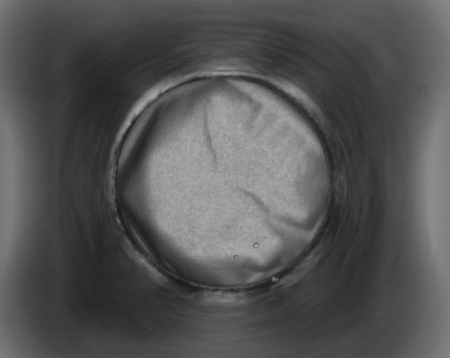 X0000086001374200704131756