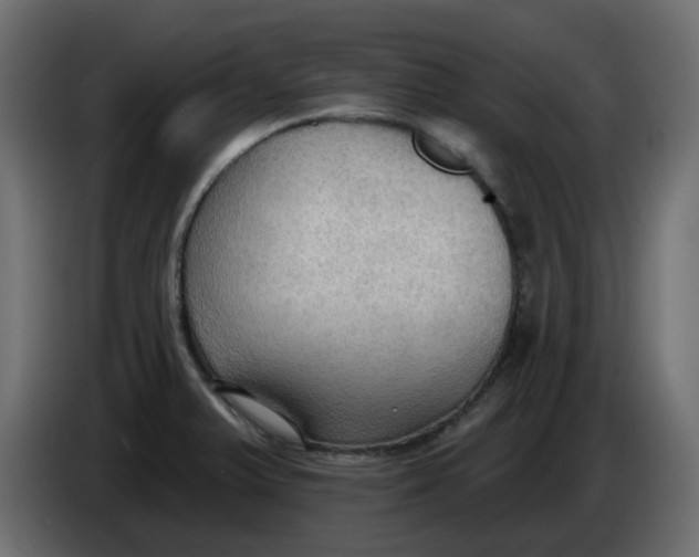 X0000086001375200704131756