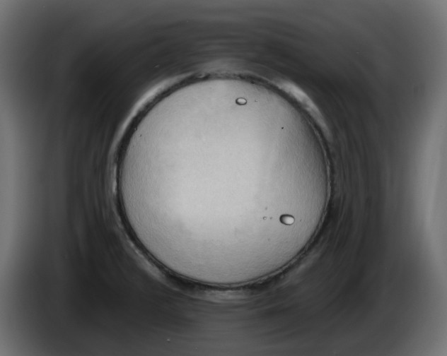 X0000086001376200704131756