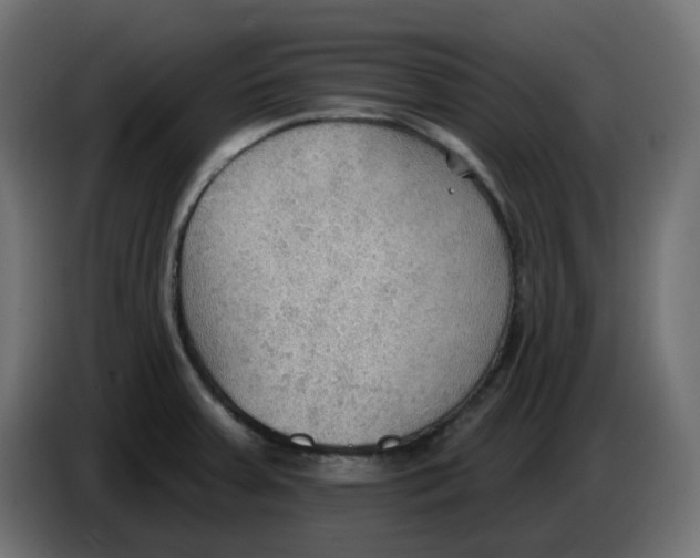 X0000086001379200704131756