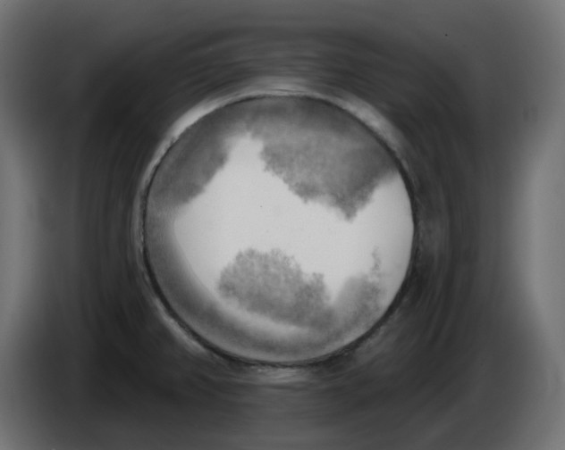 X0000086001382200704131756