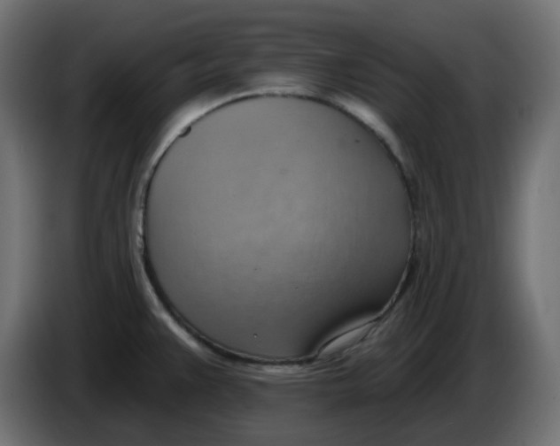 X0000086001383200704131756