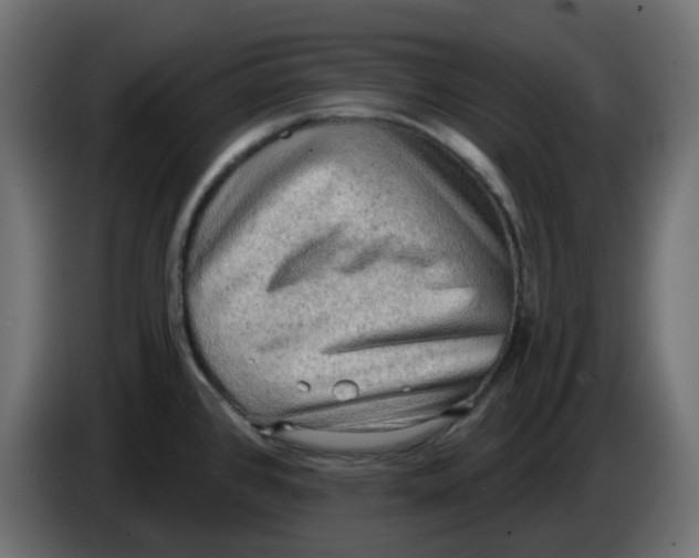 X0000086001384200704131756