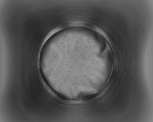 X0000086001386200704131756