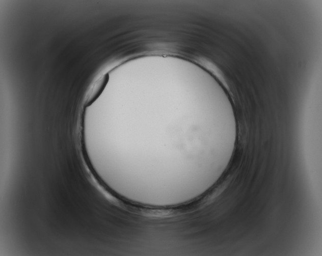 X0000086001387200704131756