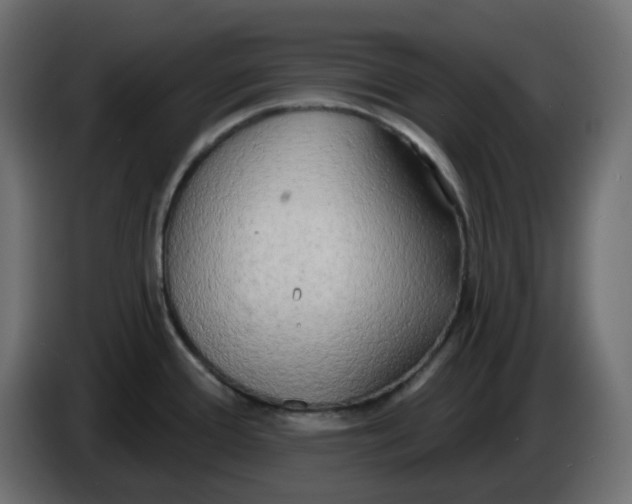 X0000086001388200704131756