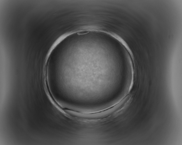 X0000086001389200704131756