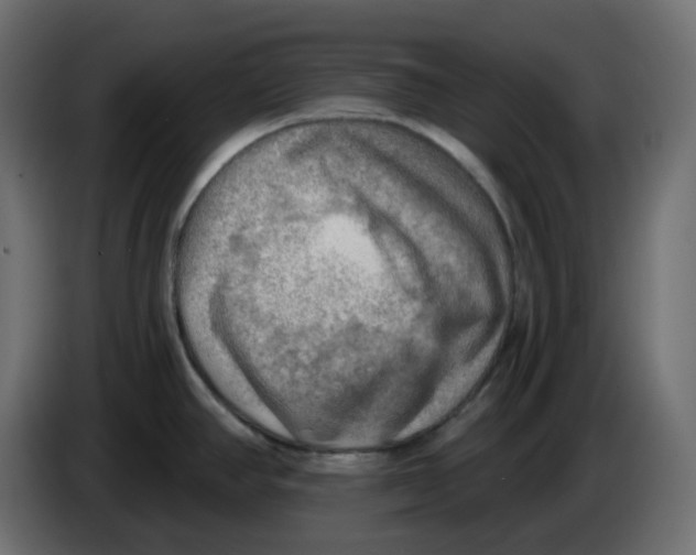 X0000086001390200704131756