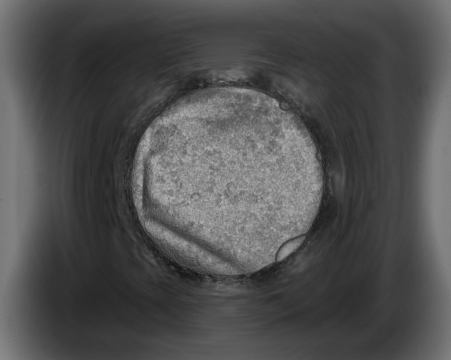 X0000086001393200704131755