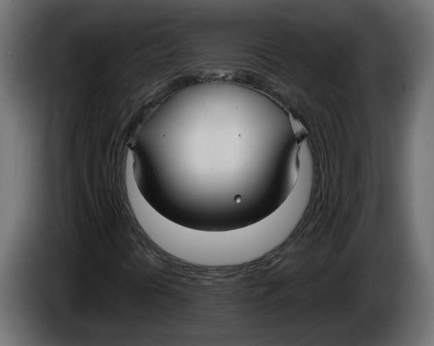 X0000086001394200704131755