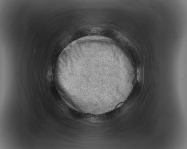 X0000086001395200704131755