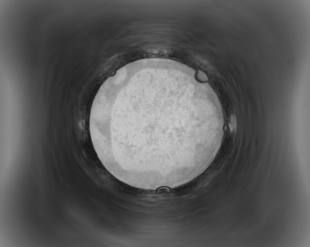 X0000086001396200704131755