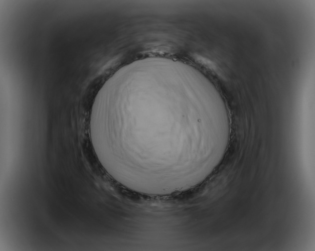 X0000086001399200704131755