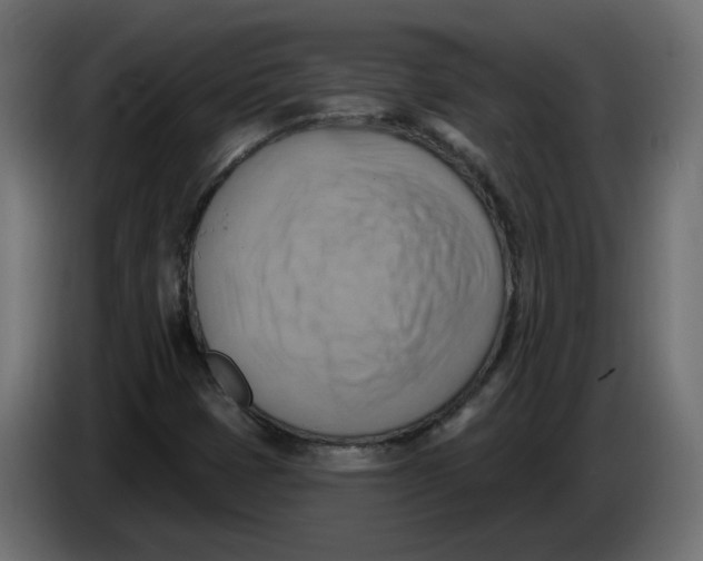 X0000086001401200704131755