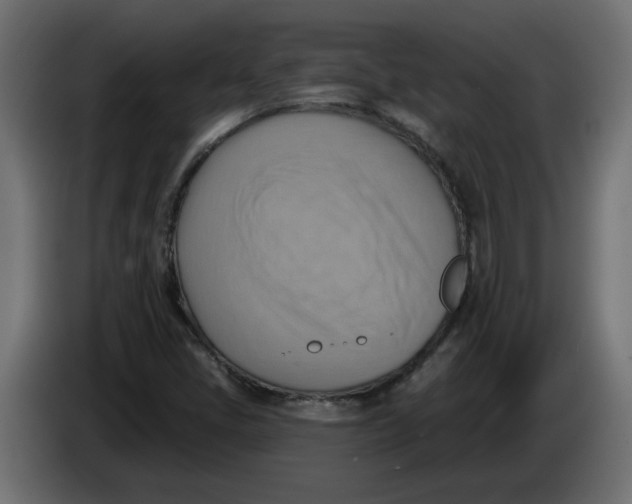 X0000086001405200704131755