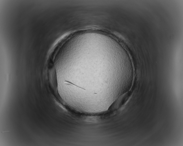 X0000086001406200704131755