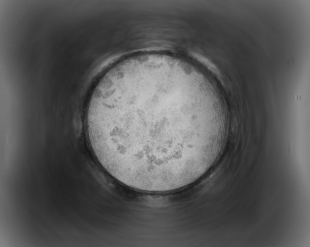 X0000086001407200704131755