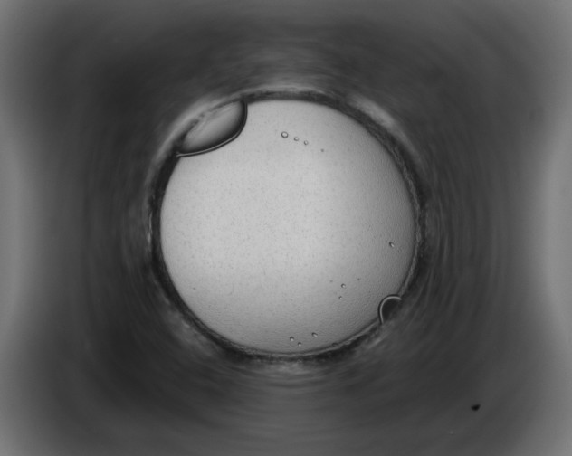 X0000086001408200704131755