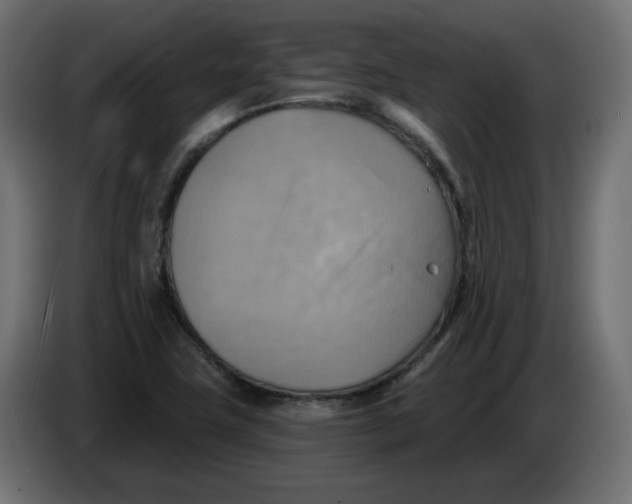 X0000086001411200704131755