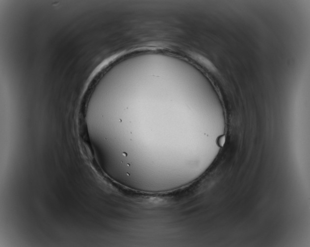 X0000086001412200704131755