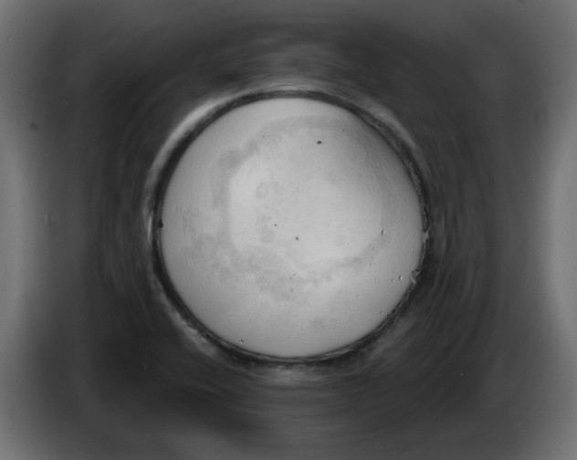 X0000086001416200704131755