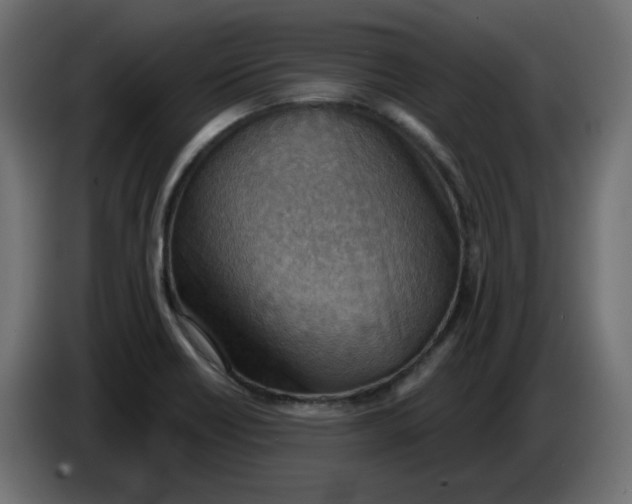 X0000086001418200704131755