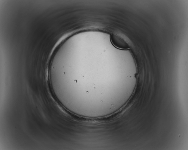 X0000086001420200704131755