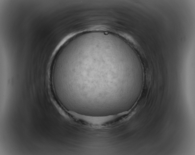 X0000086001422200704131755