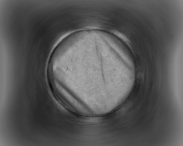 X0000086001423200704131755