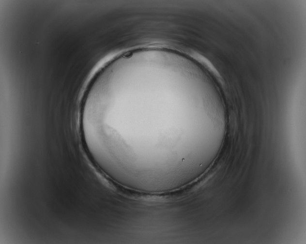 X0000086001424200704131755