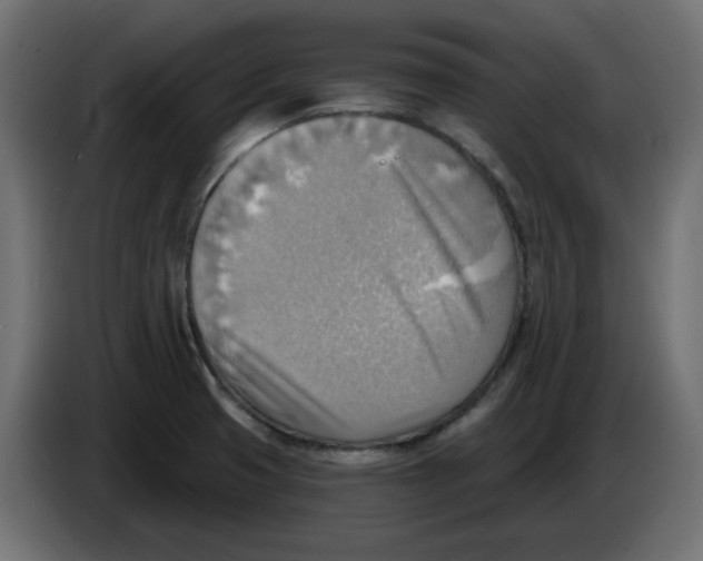 X0000086001425200704131755