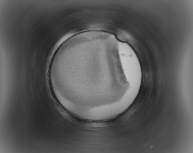 X0000086001427200704131755